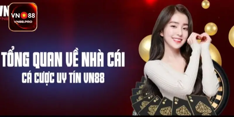 Giới thiệu chi tiết về nhà cái vn88